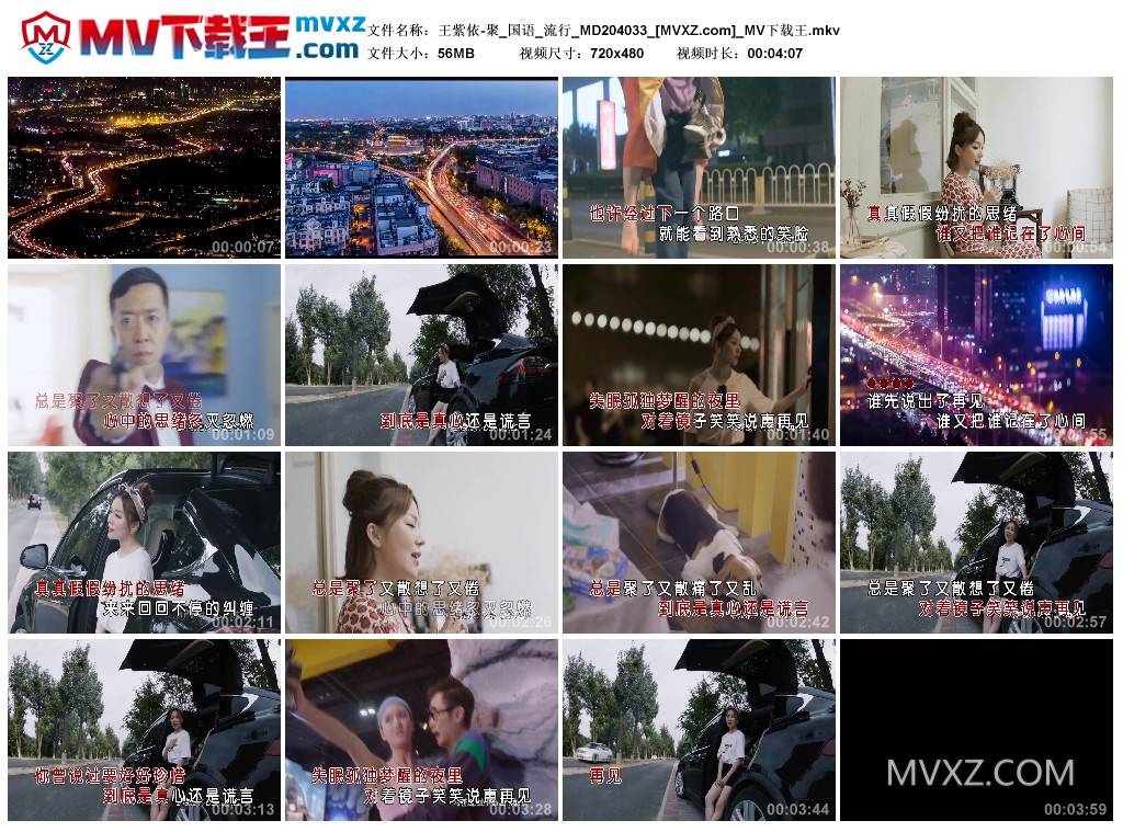 王紫依-聚_国语_流行_MD204033